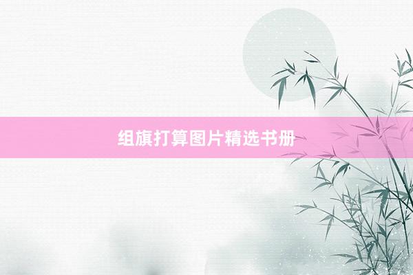 组旗打算图片精选书册