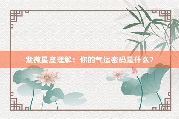 紫微星座理解：你的气运密码是什么？