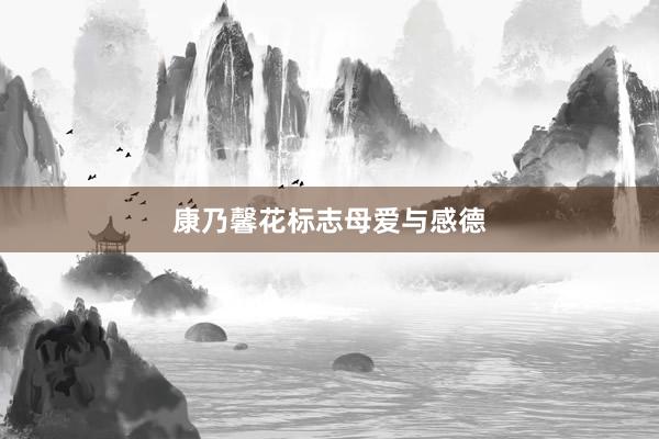 康乃馨花标志母爱与感德